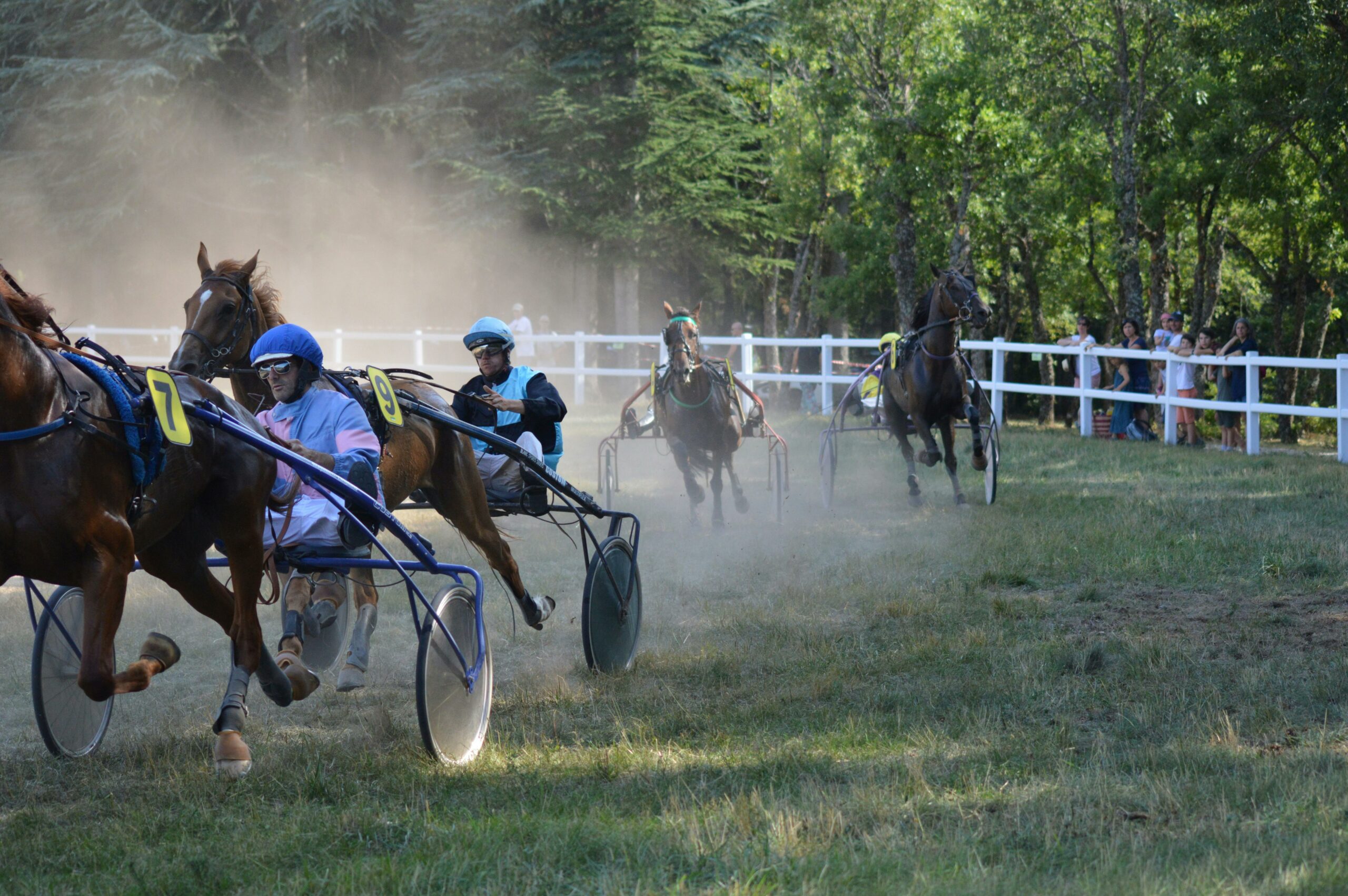 Exciting harness racing scene with jockeys and sulkies in motion, showcasing the thrill of competition.